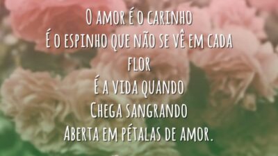 Amor em pétalas de flor