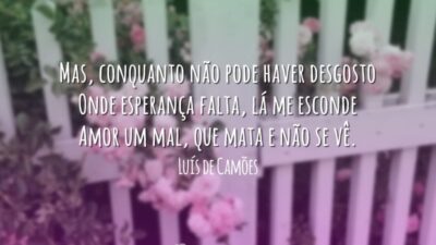 Amor, um mal