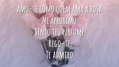 Como quem ama a rosa