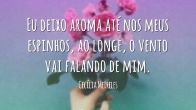 Eu deixo aroma até nos meus espinhos, ao longe, o vento vai&hellip;