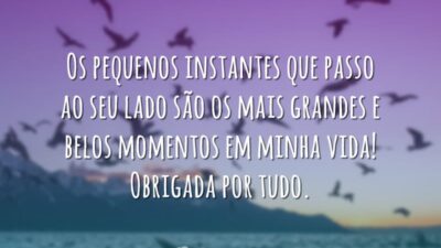 Os pequenos instantes