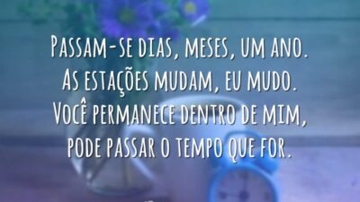 Passam-se dias, meses, um ano. As estações mudam, eu mudo. Você permanece&hellip;