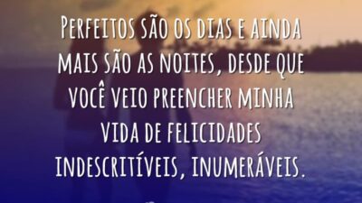 Perfeitos são os dias