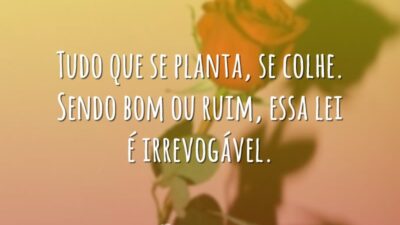 Tudo que se planta