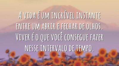 Um incrível instante