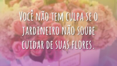 Você não tem culpa