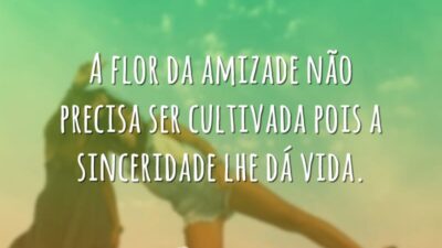 A flor da amizade