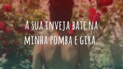 A sua inveja bate na minha pomba e gira.