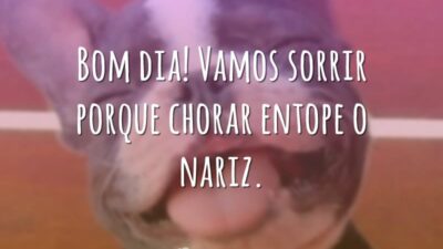 Bom dia! Vamos sorrir porque chorar entope o nariz.