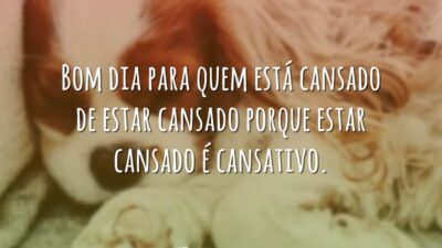Bom dia para quem está cansado de estar cansado porque estar cansado&hellip;