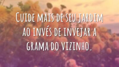 Cuide mais de seu jardim ao invés de invejar a grama do&hellip;