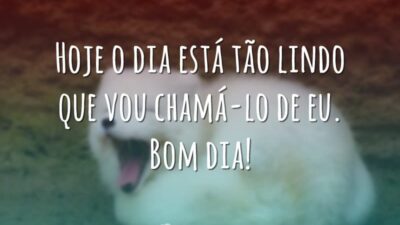 Hoje o dia está tão lindo que vou chamá-lo de eu. Bom&hellip;