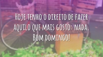 Hoje tenho o direito de fazer aquilo que mais gosto: nada. Bom&hellip;