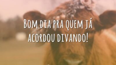 Bom dia pra quem já acordou divando!
