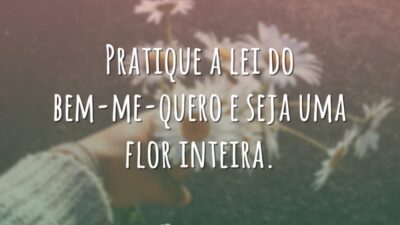 A lei do bem-me-quero