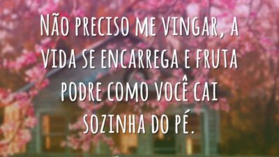 Não preciso me vingar, a vida se encarrega e fruta podre como&hellip;