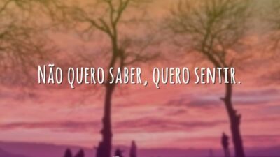 Não quero saber, quero sentir.