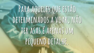 Não ter asas é detalhe