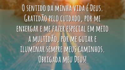 O sentido da minha vida