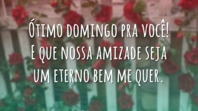 Ótimo domingo pra você! E que nossa amizade seja um eterno bem&hellip;