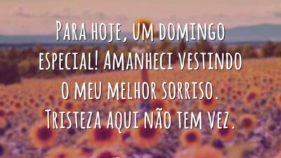 Para hoje, um domingo especial! Amanheci vestindo o meu melhor sorriso. Tristeza&hellip;