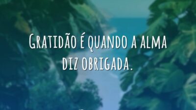 Gratidão é quando a alma diz obrigada.