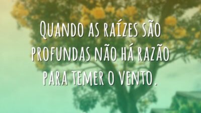 Quando as raízes são profundas