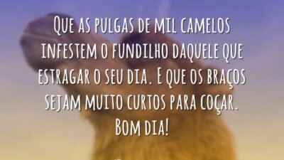 Que as pulgas de mil camelos infestem o fundilho daquele que estragar&hellip;