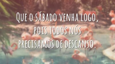 Que o sábado venha logo, pois todos nós precisamos de descanso.