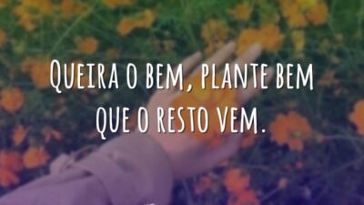 Queira o bem, plante bem que o resto vem.