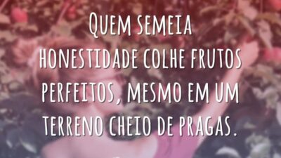 Quem semeia honestidade colhe frutos perfeitos, mesmo em um terreno cheio de&hellip;
