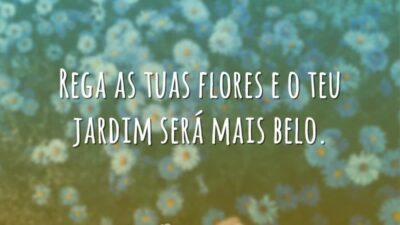 Rega as tuas flores e o teu jardim será mais belo.