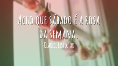 Acho que sábado é a rosa da semana.