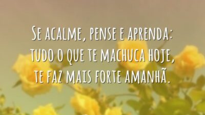 Se acalme, pense e aprenda: tudo o que te machuca hoje, te&hellip;