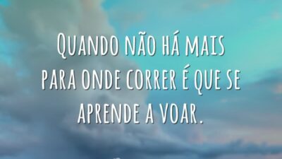 Se aprende a voar