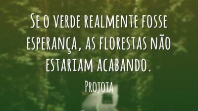 Se o verde realmente fosse esperança, as florestas não estariam acabando.