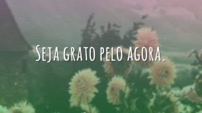 Seja grato pelo agora.
