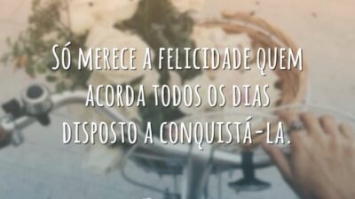 Só merece a felicidade quem acorda todos os dias disposto a conquistá-la.