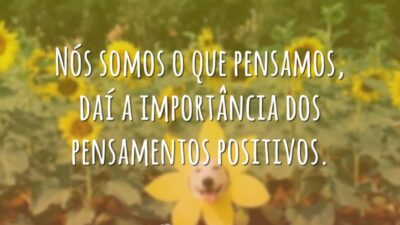 Nós somos o que pensamos, daí a importância dos pensamentos positivos.