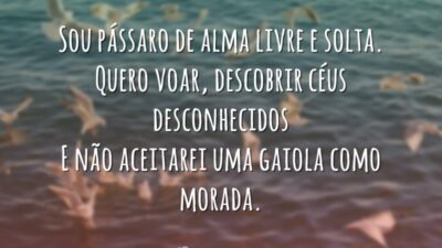 Sou pássaro