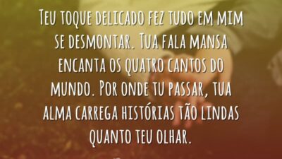 Teu toque delicado