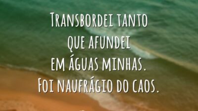 Transbordei tanto