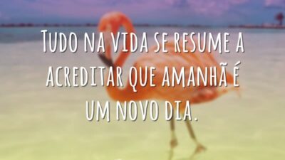 Tudo na vida se resume a acreditar que amanhã é um novo&hellip;