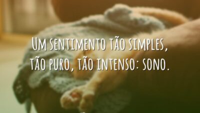 Um sentimento tão simples, tão puro, tão intenso: sono.
