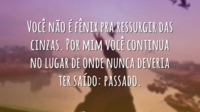 Você não é fênix pra ressurgir das cinzas. Por mim você continua&hellip;