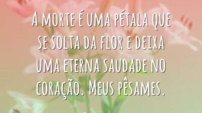 A morte é uma pétala
