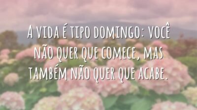 A vida é tipo domingo