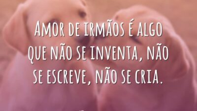 Amor de irmãos
