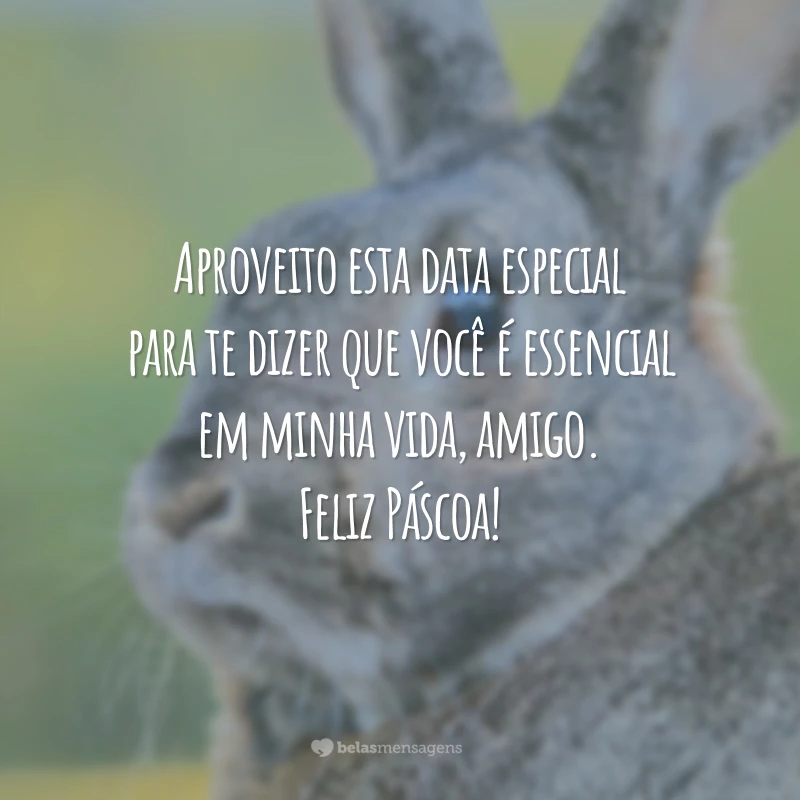 Aproveito esta data especial para te dizer que você é essencial em minha vida, amigo. Feliz Páscoa!