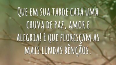 Uma chuva de paz